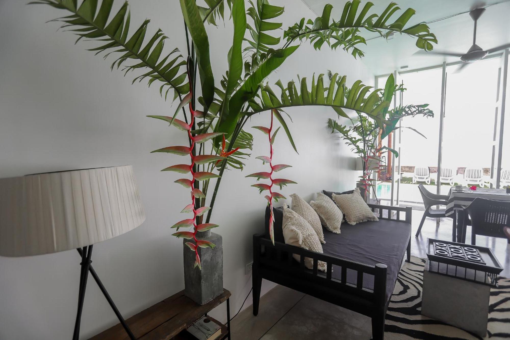 Bieshu Beach Hive Habaraduwa Central Dış mekan fotoğraf
